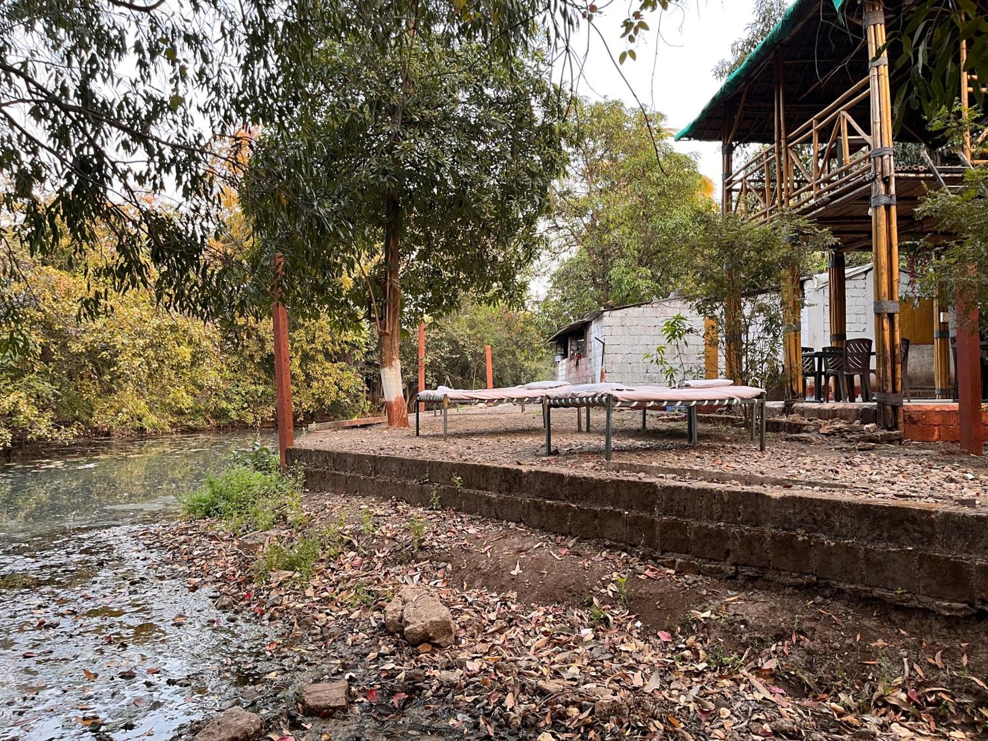 Brook Ville Sasan Gir Exteriör bild