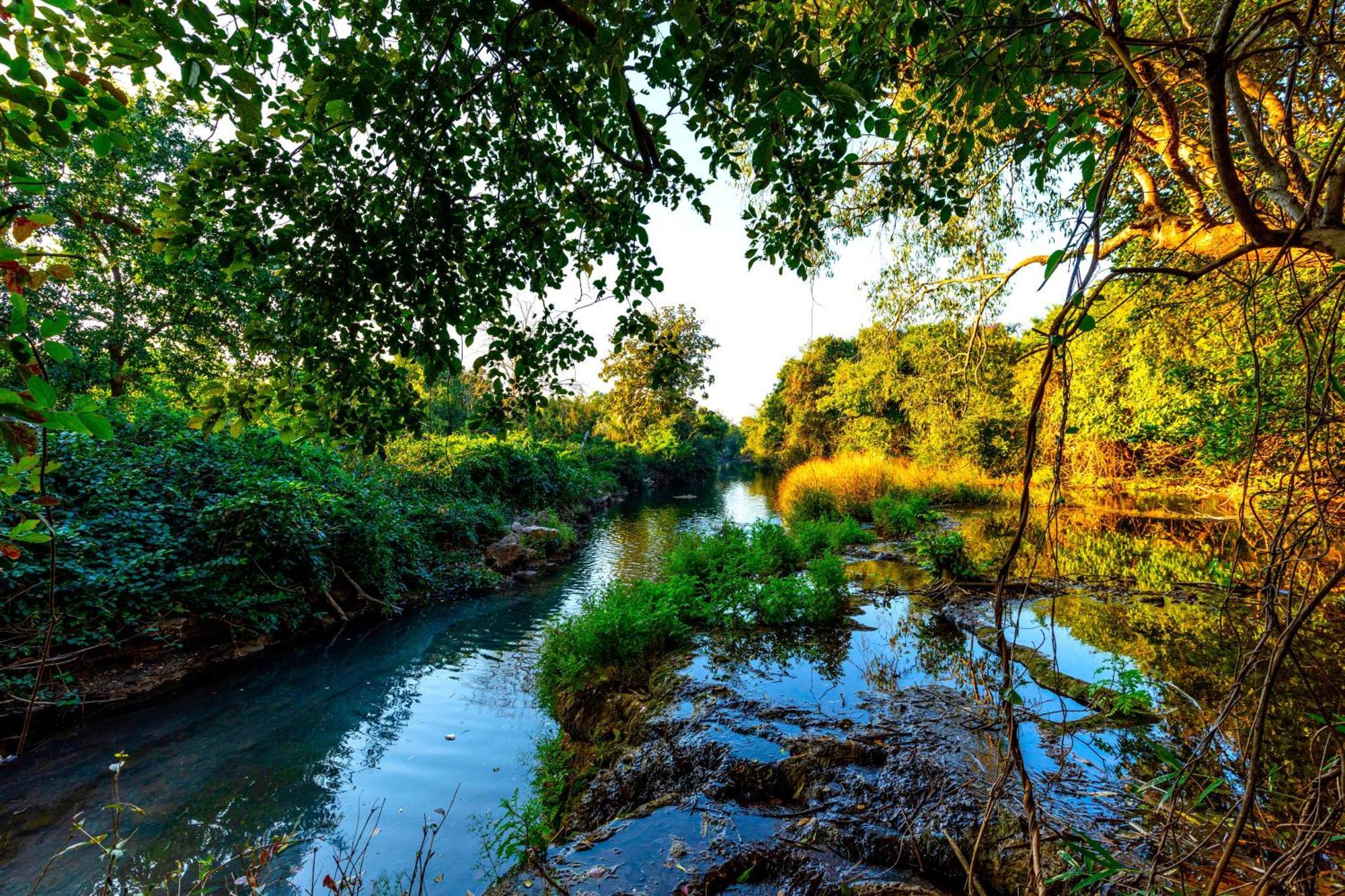 Brook Ville Sasan Gir Exteriör bild